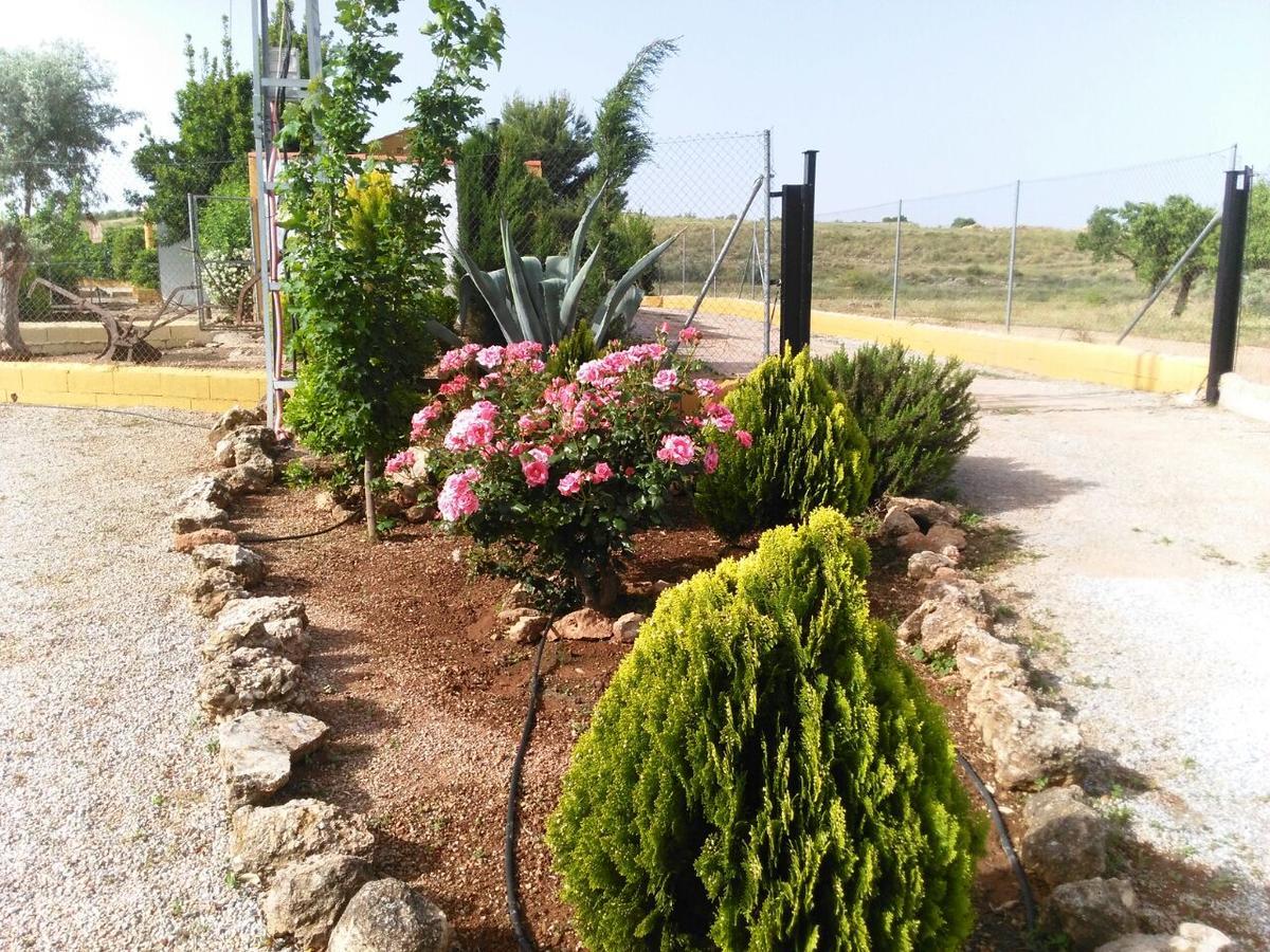 Alojamientos Rurales La Loma Pozo Alcón Exteriér fotografie